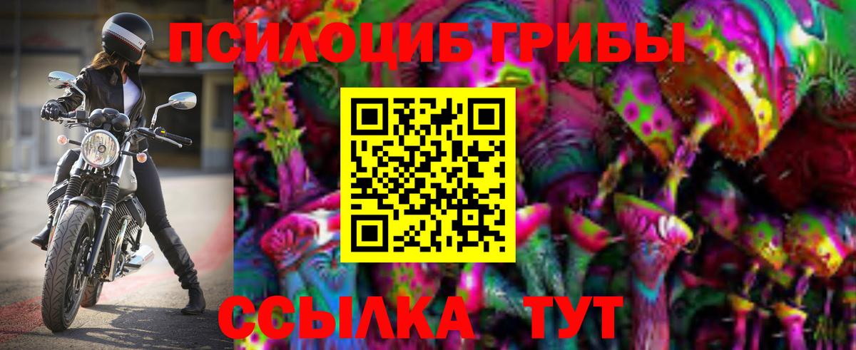 Псилоцибиновые грибы Psilocybe Волжск